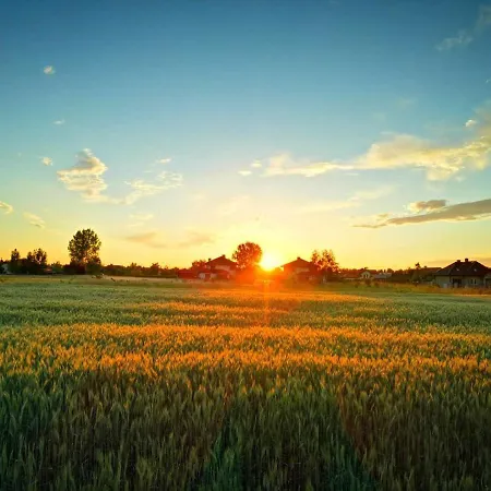 Expo Nadarzyn 3rooms * Kajetany